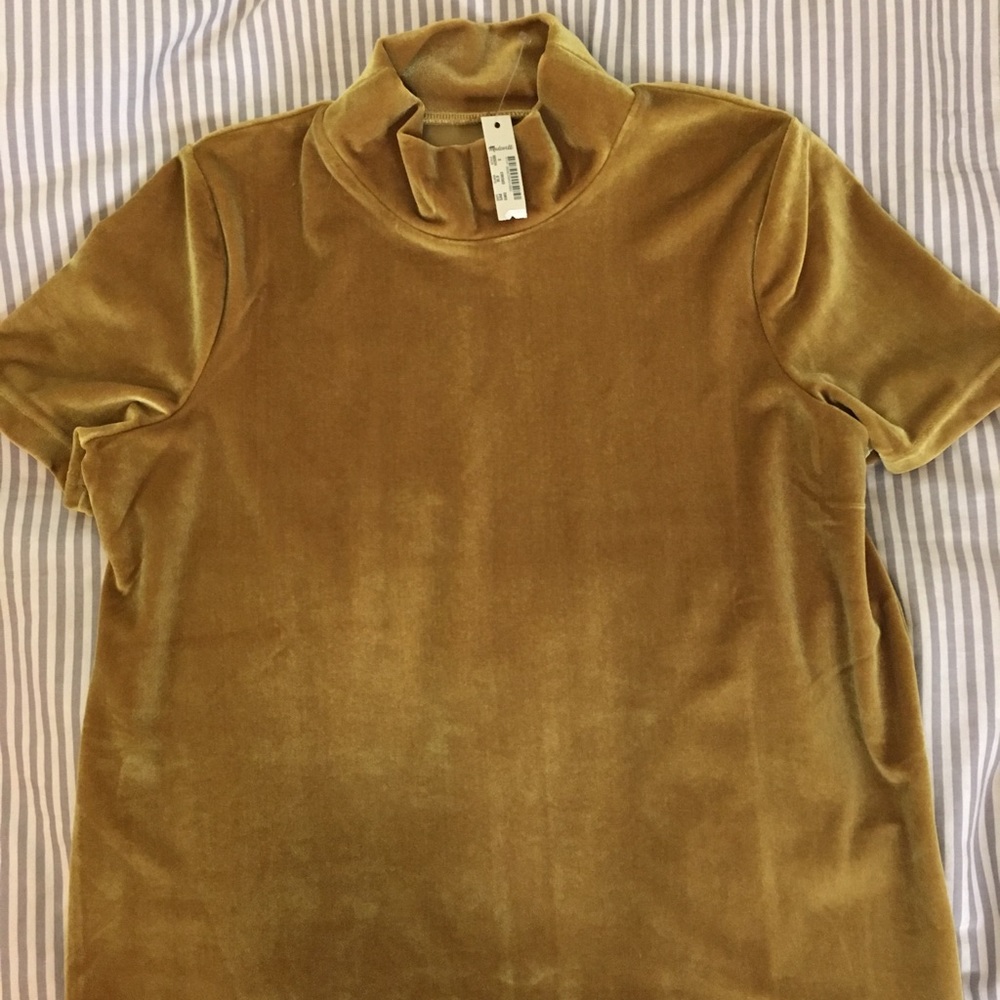 PLEASE DON'T BUY :) Madewell Velvet Mockneck